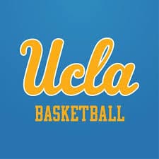 Something's Bruin